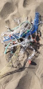 “Spiagge e fondali puliti 2021” Torna la grande campagna di volontariato ambientale