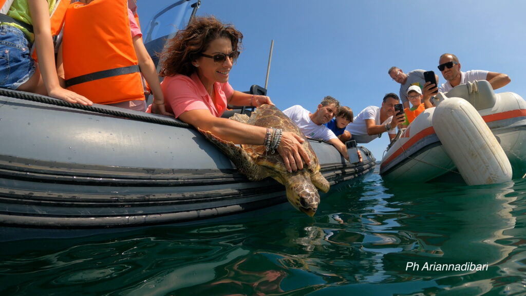 Manfredonia: tartaruga marina torna a casa (VIDEO)